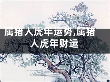 属猪人虎年运势,属猪人虎年财运