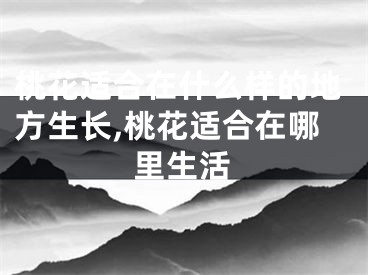 桃花适合在什么样的地方生长,桃花适合在哪里生活