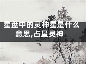 星盘中的灵神星是什么意思,占星灵神