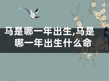 马是哪一年出生,马是哪一年出生什么命
