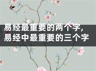 易经最重要的两个字,易经中最重要的三个字