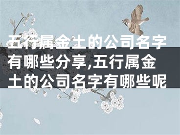 五行属金土的公司名字有哪些分享,五行属金土的公司名字有哪些呢