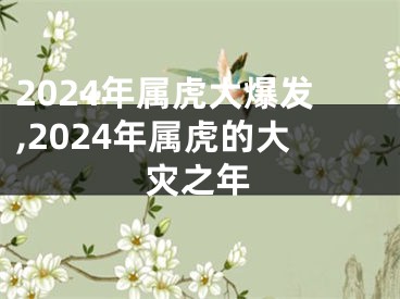 2024年属虎大爆发,2024年属虎的大灾之年