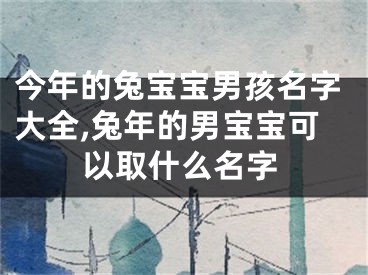 今年的兔宝宝男孩名字大全,兔年的男宝宝可以取什么名字