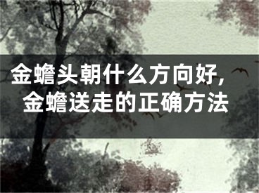金蟾头朝什么方向好,金蟾送走的正确方法