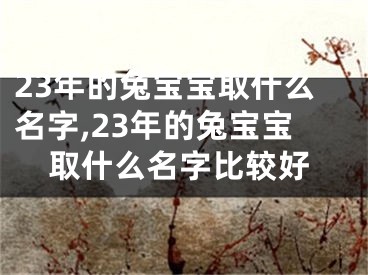 23年的兔宝宝取什么名字,23年的兔宝宝取什么名字比较好