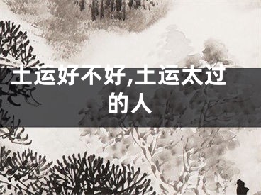 土运好不好,土运太过的人