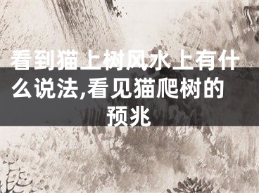看到猫上树风水上有什么说法,看见猫爬树的预兆
