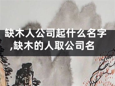 缺木人公司起什么名字,缺木的人取公司名