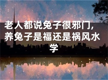 老人都说兔子很邪门,养兔子是福还是祸风水学