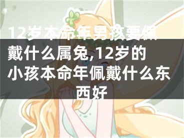 12岁本命年男孩要佩戴什么属兔,12岁的小孩本命年佩戴什么东西好