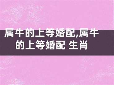 属牛的上等婚配,属牛的上等婚配 生肖