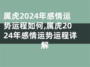 属虎2024年感情运势运程如何,属虎2024年感情运势运程详解