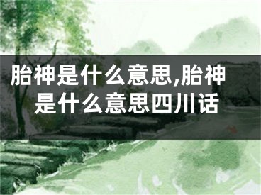 胎神是什么意思,胎神是什么意思四川话
