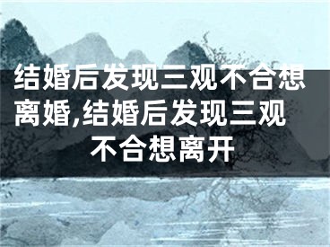 结婚后发现三观不合想离婚,结婚后发现三观不合想离开