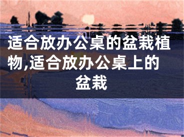 适合放办公桌的盆栽植物,适合放办公桌上的盆栽