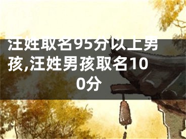 汪姓取名95分以上男孩,汪姓男孩取名100分
