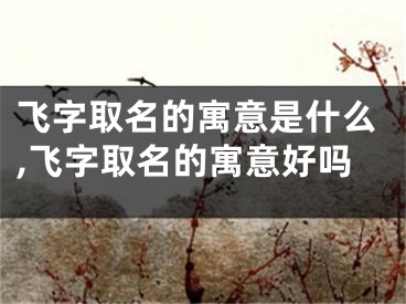 飞字取名的寓意是什么,飞字取名的寓意好吗