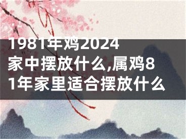 1981年鸡2024家中摆放什么,属鸡81年家里适合摆放什么