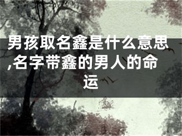 男孩取名鑫是什么意思,名字带鑫的男人的命运