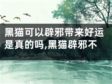 黑猫可以辟邪带来好运是真的吗,黑猫辟邪不