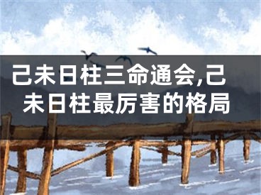 己未日柱三命通会,己未日柱最厉害的格局