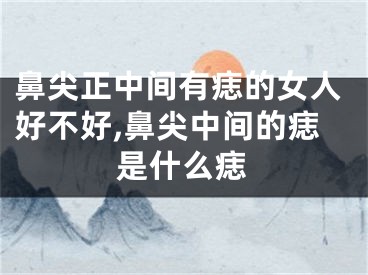 鼻尖正中间有痣的女人好不好,鼻尖中间的痣是什么痣