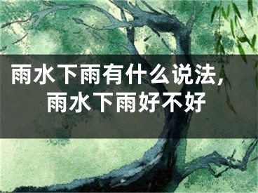 雨水下雨有什么说法,雨水下雨好不好