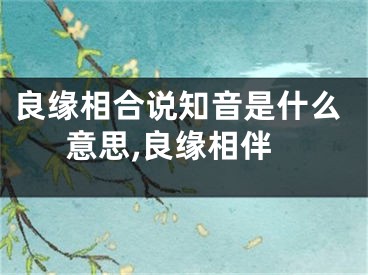 良缘相合说知音是什么意思,良缘相伴
