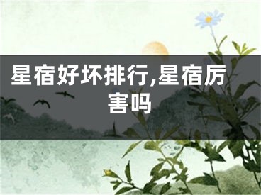星宿好坏排行,星宿厉害吗