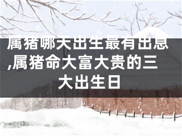 属猪哪天出生最有出息,属猪命大富大贵的三大出生日