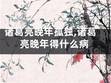 诸葛亮晚年孤独,诸葛亮晚年得什么病