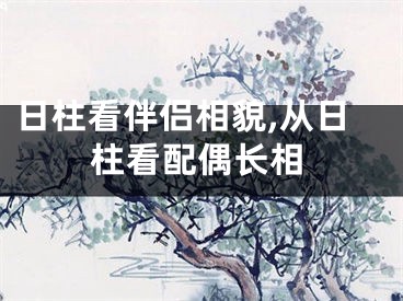 日柱看伴侣相貌,从日柱看配偶长相