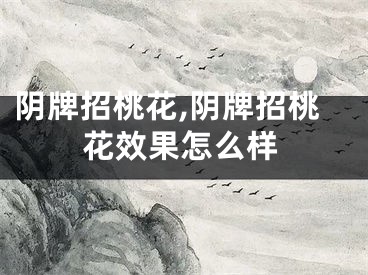 阴牌招桃花,阴牌招桃花效果怎么样