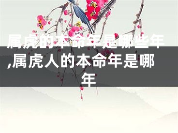 属虎的本命年是哪些年,属虎人的本命年是哪年
