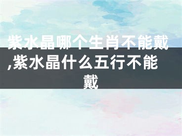 紫水晶哪个生肖不能戴,紫水晶什么五行不能戴
