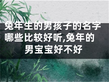 兔年生的男孩子的名字哪些比较好听,兔年的男宝宝好不好