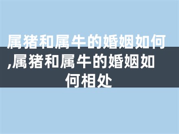 属猪和属牛的婚姻如何,属猪和属牛的婚姻如何相处