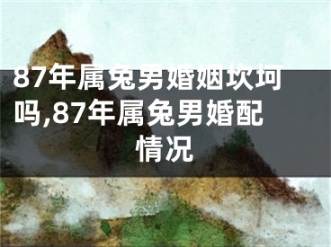 87年属兔男婚姻坎坷吗,87年属兔男婚配情况