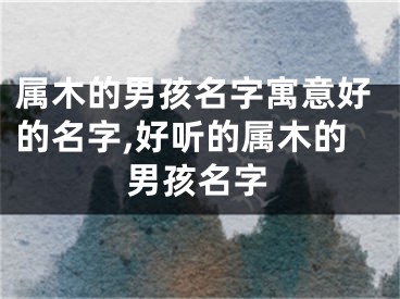 属木的男孩名字寓意好的名字,好听的属木的男孩名字