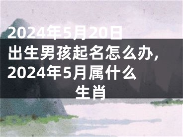 2024年5月20日出生男孩起名怎么办,2024年5月属什么生肖