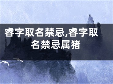 睿字取名禁忌,睿字取名禁忌属猪