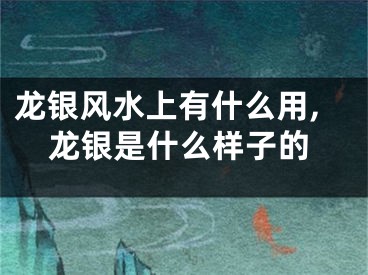 龙银风水上有什么用,龙银是什么样子的