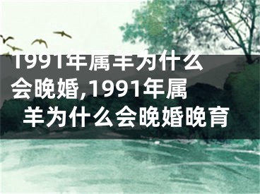1991年属羊为什么会晚婚,1991年属羊为什么会晚婚晚育