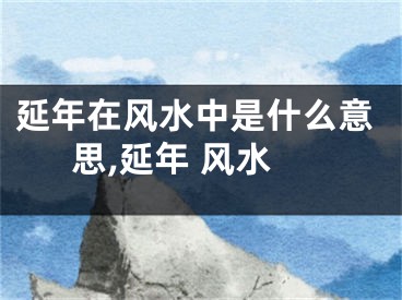 延年在风水中是什么意思,延年 风水