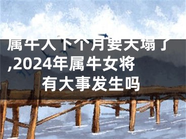 属牛人下个月要天塌了,2024年属牛女将有大事发生吗