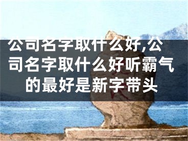 公司名字取什么好,公司名字取什么好听霸气的最好是新字带头