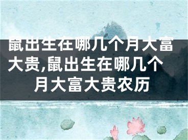 鼠出生在哪几个月大富大贵,鼠出生在哪几个月大富大贵农历