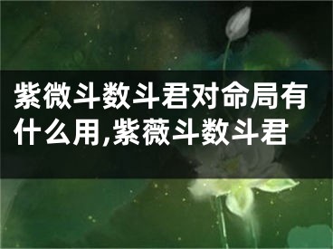 紫微斗数斗君对命局有什么用,紫薇斗数斗君