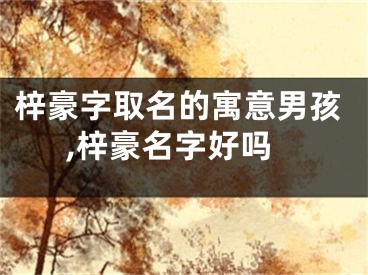 梓豪字取名的寓意男孩,梓豪名字好吗